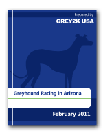 az Report