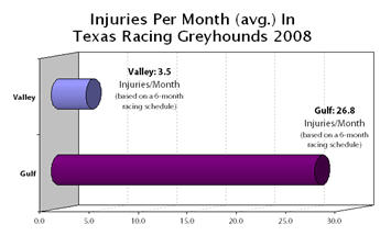 Injuries Per Month (avg.) In Texas Racing Greyhounds 2008 by Track