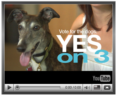Yes on 3 Video