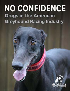 NO CONFIDENCE: Drugs in the American Greyhound Racing Industry