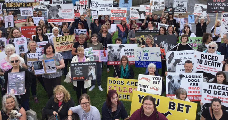 2019 protests against greyhound racing