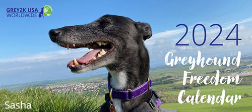 2024 Greyhound Freedom Calendar