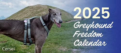 2025 Greyhound Freedom Calendar