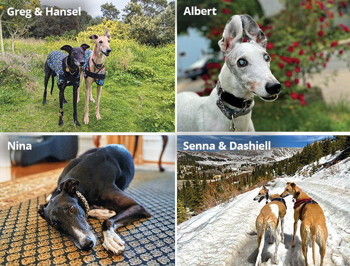 2025 calendar winners Greg & Hansel, Albert, Nina, and Senna& Dashiell