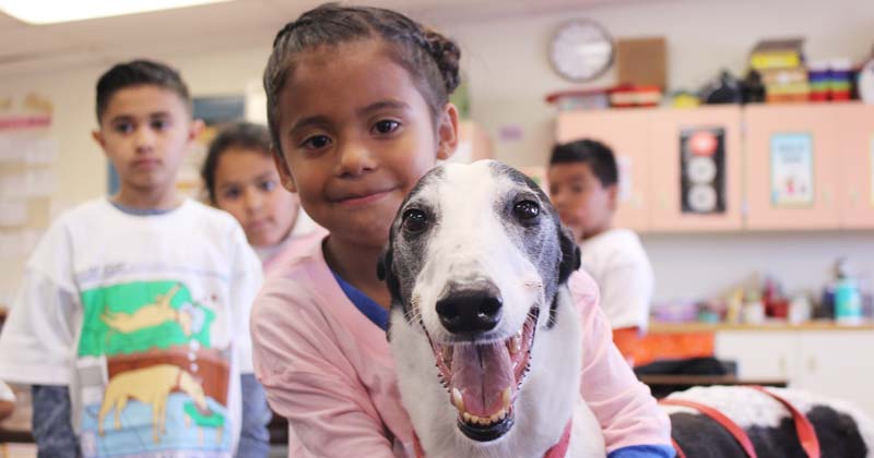 Rico of Colorado enjoys visiting students to raise awareness about dog racing
