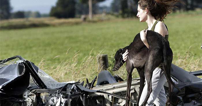 A woman carries an injured greyhound after a car and van collided in New Zealand