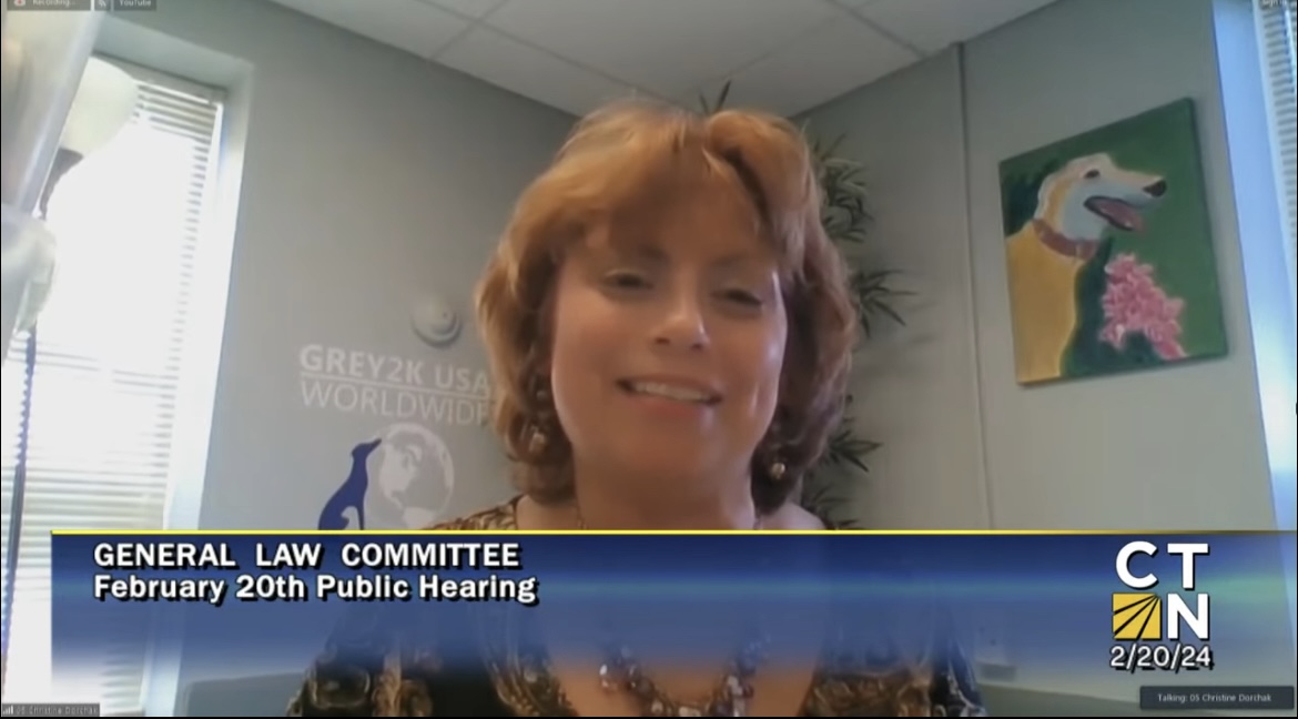 Christine spoke remotely before the General Law Committee members.