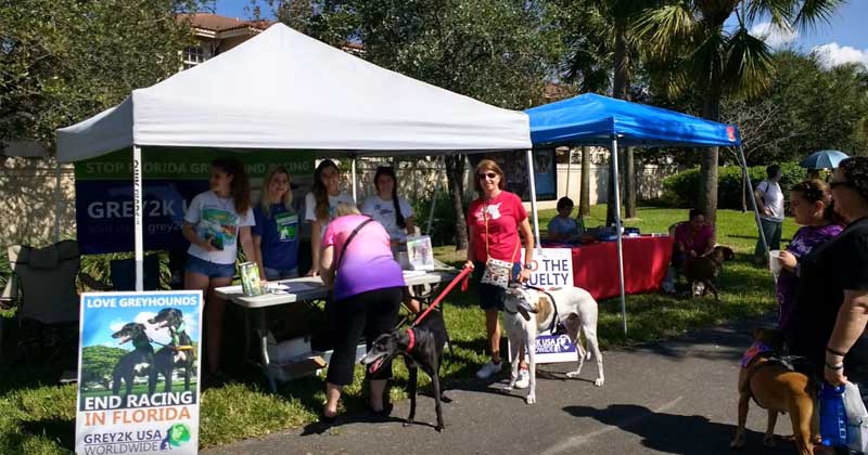 GREY2K USA is represented at Woofstock in Florida.