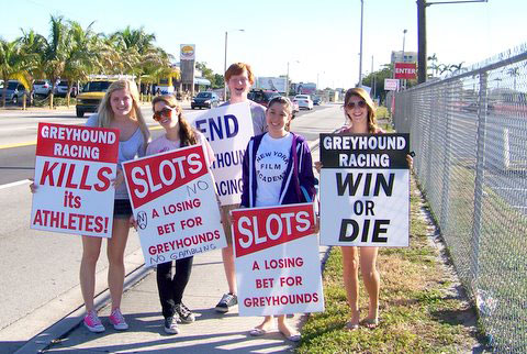 No Slots protest signs