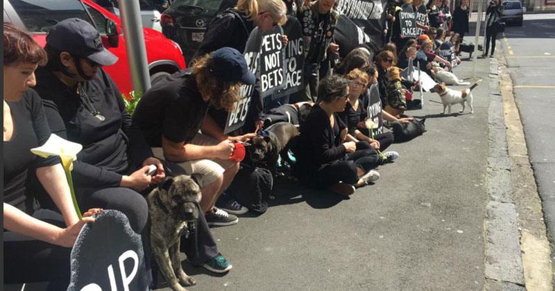 Protesters against greyhound racing in New-Zealand