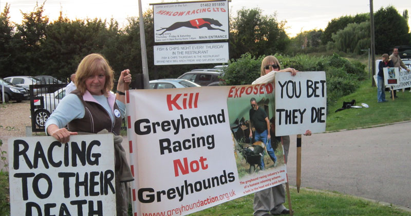 Protesters at the Henlow greyhound track in England