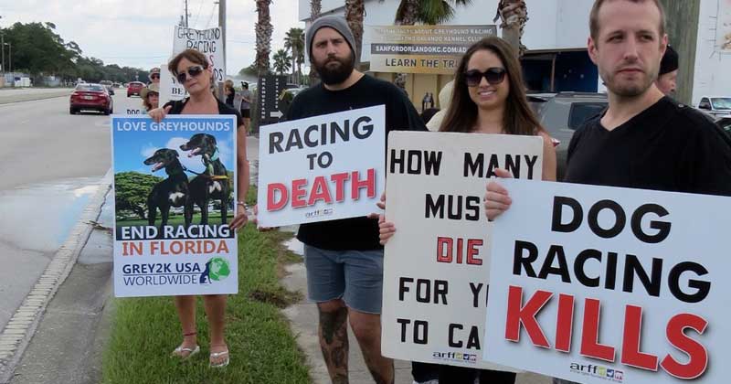 Protestors against dog racing cruelty
