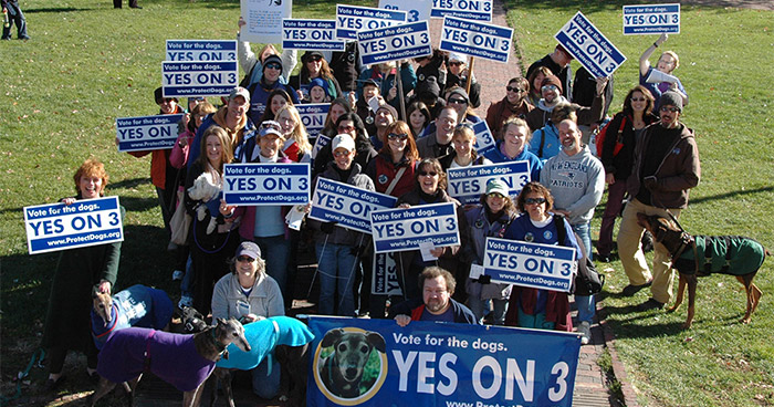 Question 3 volunteers Rally on the Boston Common