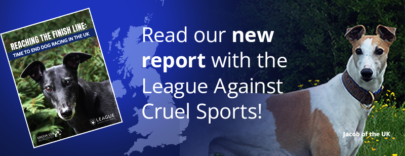 Read our new report on dog racing just released with the League Against Cruel Sports!