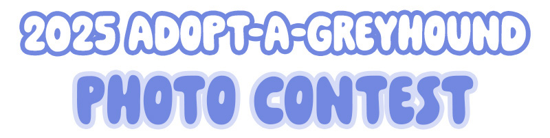 Special Friends Video Contest 2023