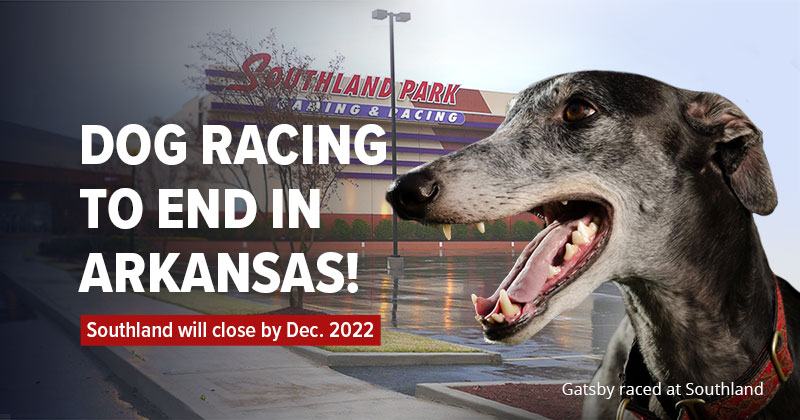 Dog racing to end in Arkansas