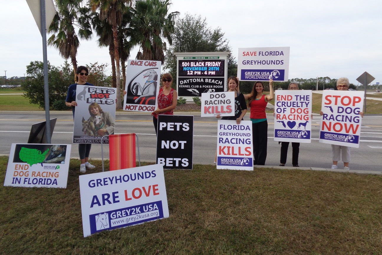 Daytona Beach Kennel Club protest