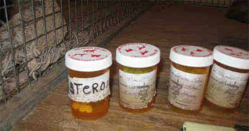 Drugs - prescription bottles