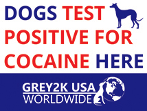 Dogs Test Positieve for Cocaine Here