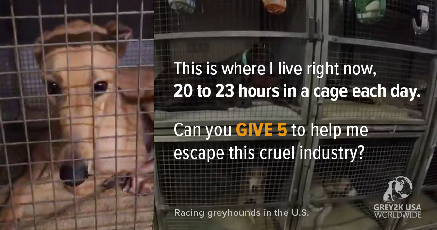 This is where I live right now. 20 to 23 hours in a cage each day