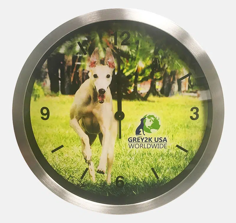 Greyhound Freedom Wall Clock