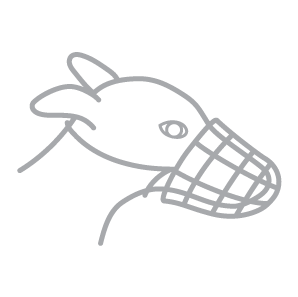 Greyhound muzzle icon