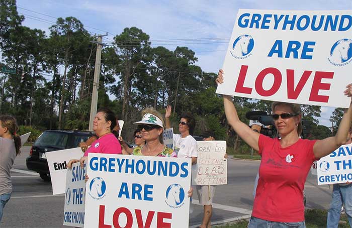 greyhound racing rally volunteers