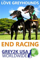 Love Greyhounds End Racing