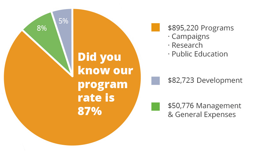 Finances pie chart