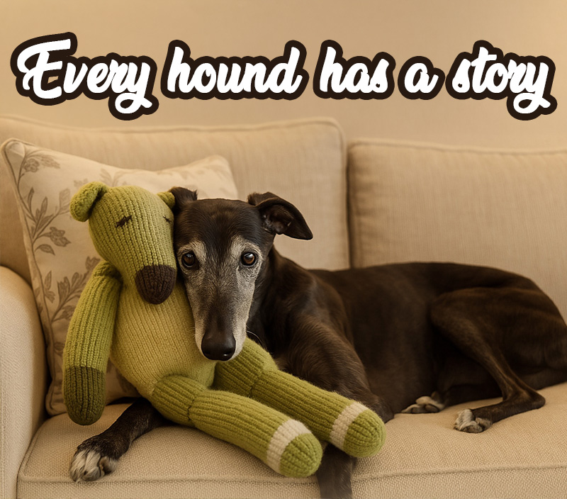 Every hound has a story