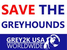 Save the Greyhounds