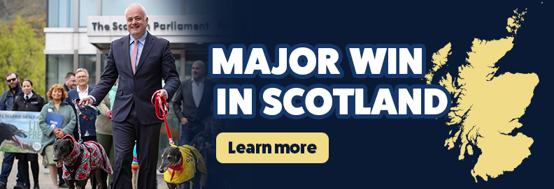 Major Win in Scotland - Learn more