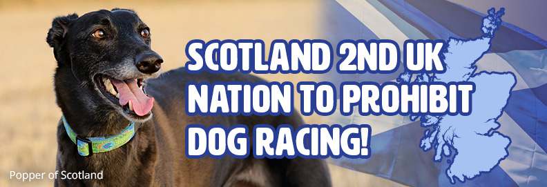Scotland Shuts Down Dog Racing!