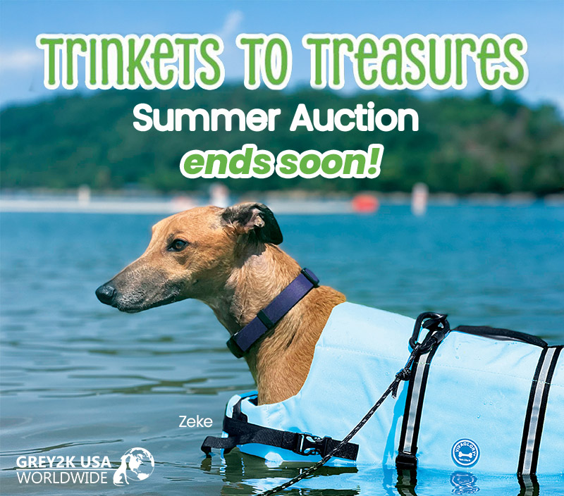 Trickets to Treasures Summer Auction