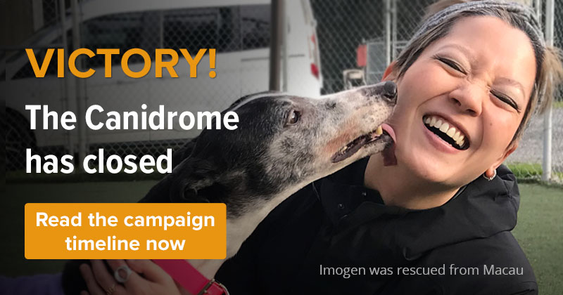 Victory! The Canidrome has closed Read the campaign timeline now