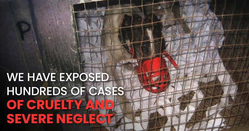 We have exposed hundreds of cases of cruelty and severe neglect
