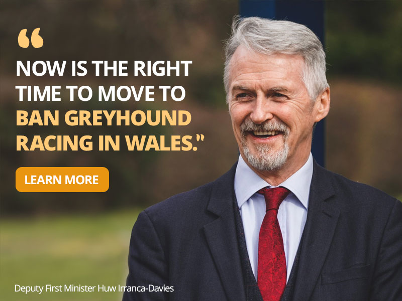 'Now is the time to move to ban greyhound racing in Wales' - Learn More