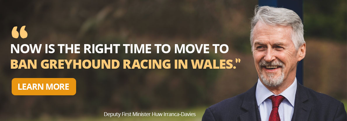 'Now is the time to move to ban greyhound racing in Wales' - Learn More