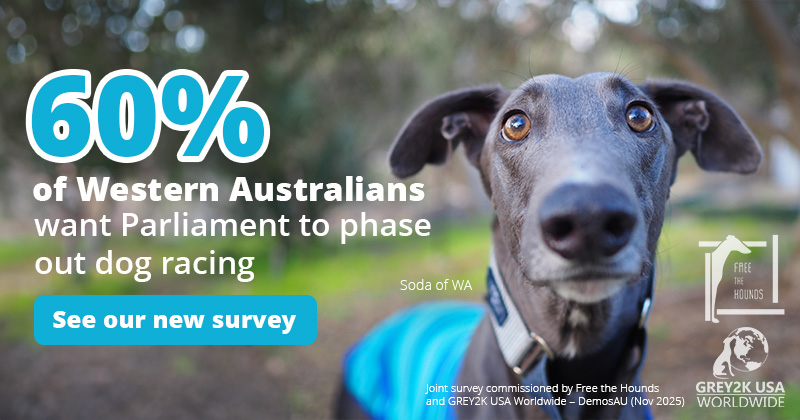 See our new survey