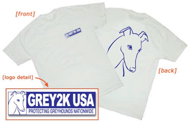 Classic GREY2K USA Logo T-Shirt